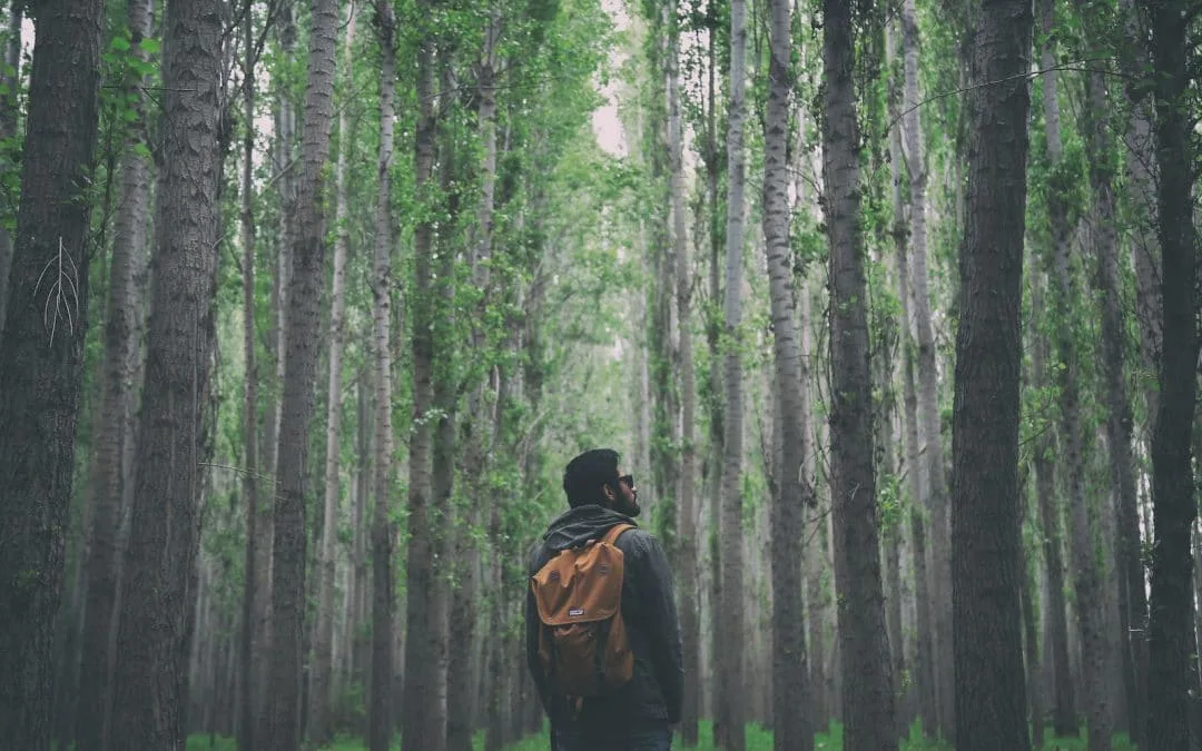 Loneliness
