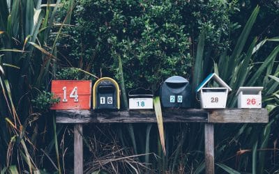 How to create your first yoga newsletter