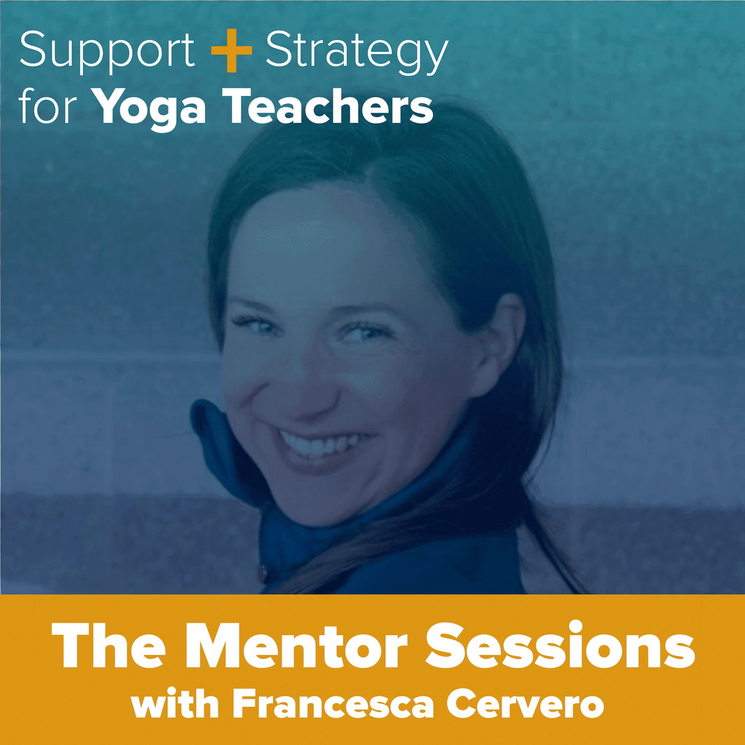 The_Mentor_Sessions_Banner The Mentor Sessions Banner