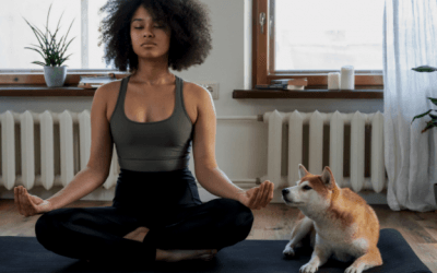 How to Create New Habits