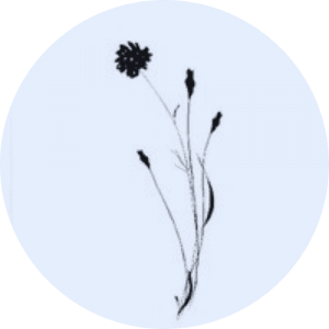 sara_villamil_circle | OfferingTree Sara Villamil Logo