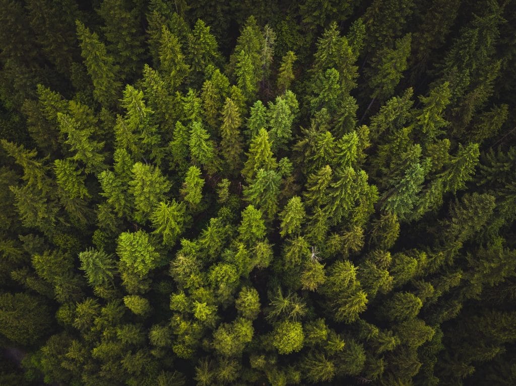 sustainable-trees | OfferingTree Website with scheduling