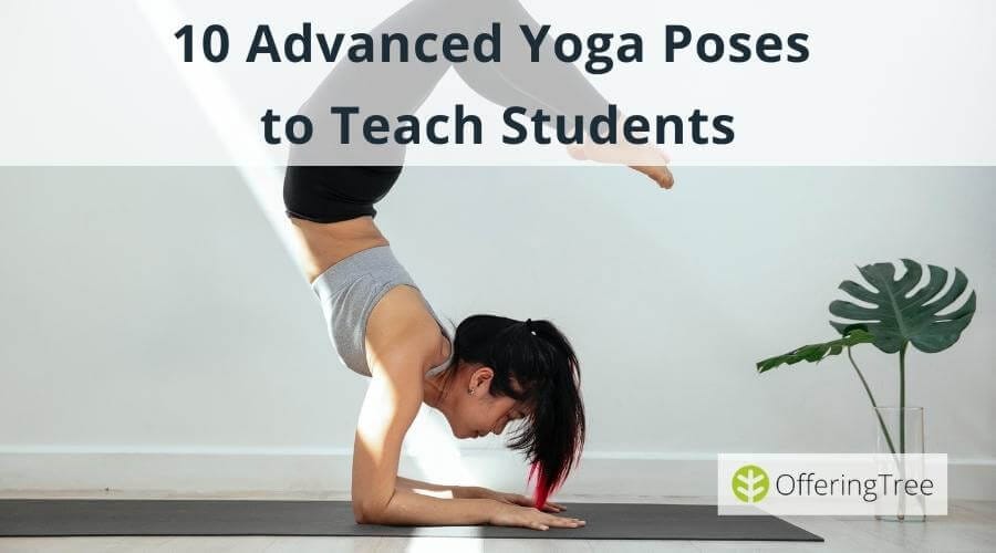 OfferingTree Advanced Yoga Poses Cover