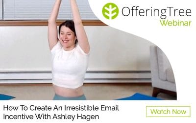 Webinar: How To Create An Irresistible Email Incentive With Ashley Hagen