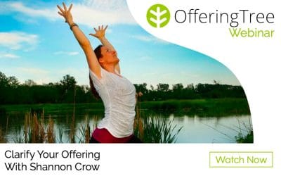 How To Clarify Your Offering With Shannon Crow