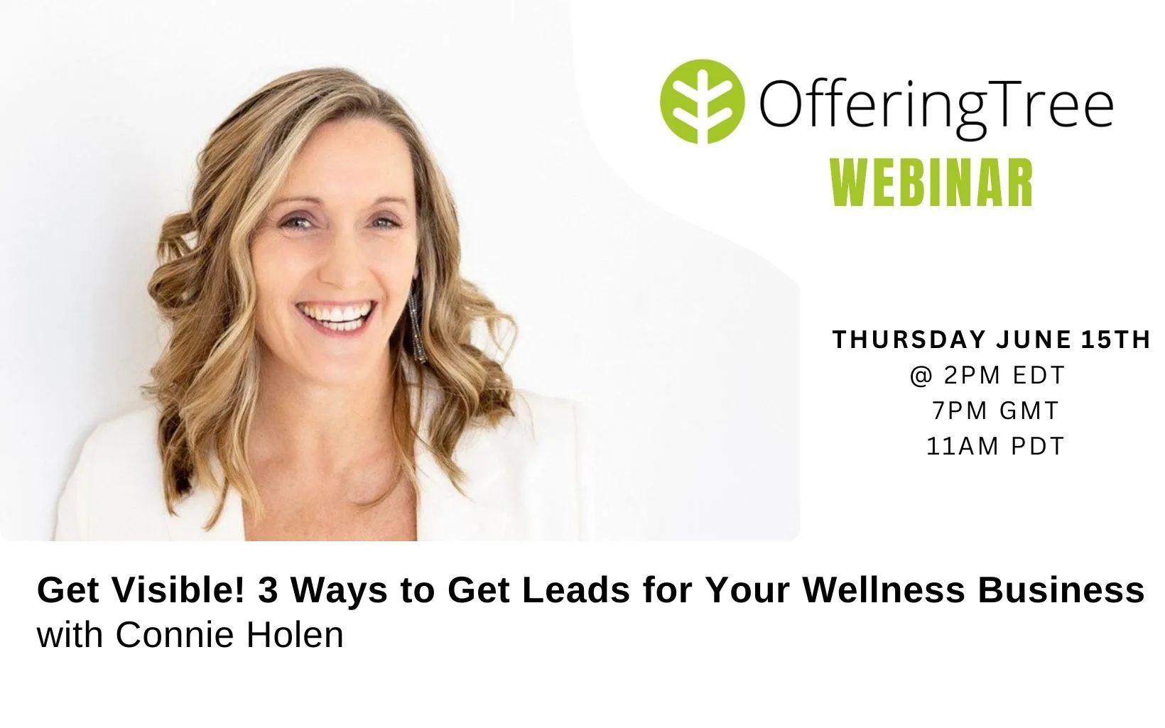 Get Visible! 3 Ways to Get Leads for Your Wellness Business with Connie Holen