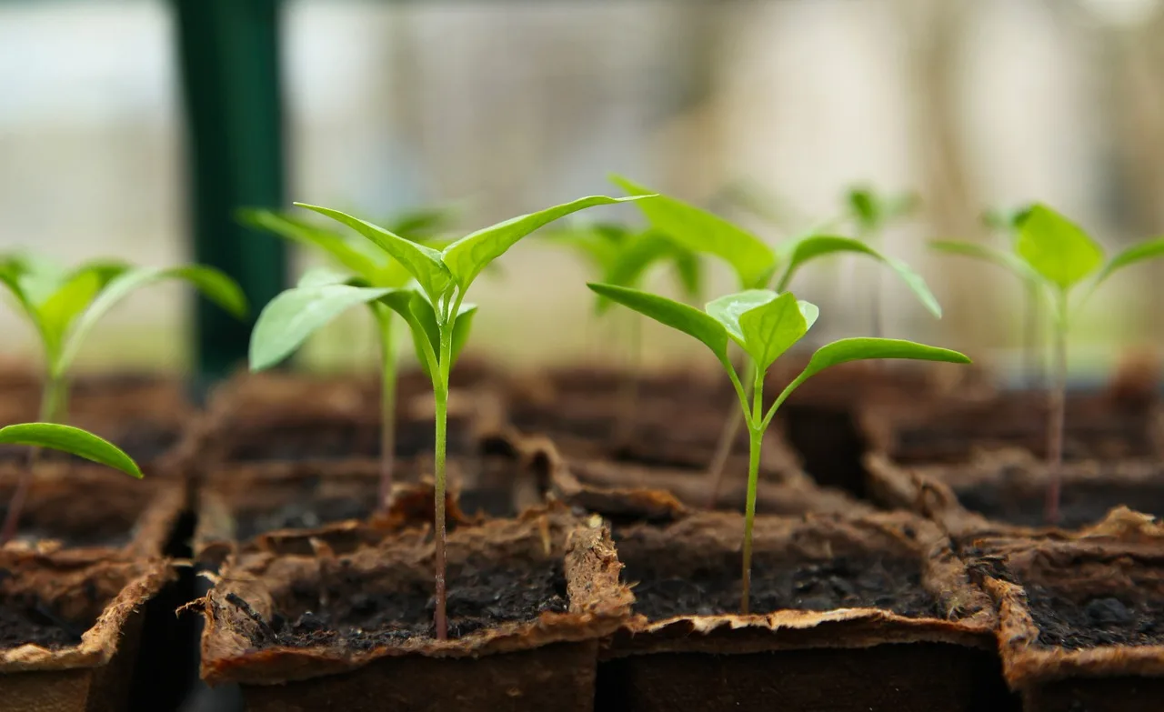grow | OfferingTree