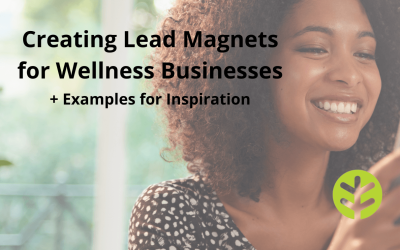 5 Lead Magnet Ideas & Steps to Create a Lead Funnel