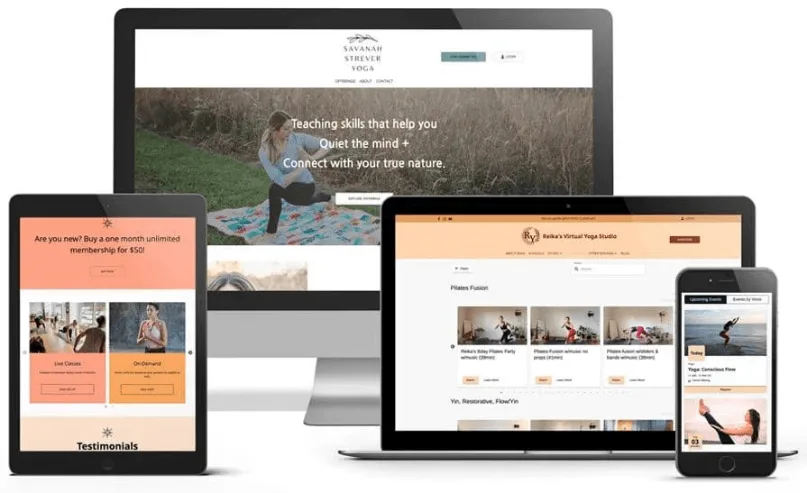 various views of the software