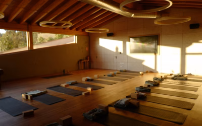 Yoga Studio Set Up Costs: Everything You Need to Know