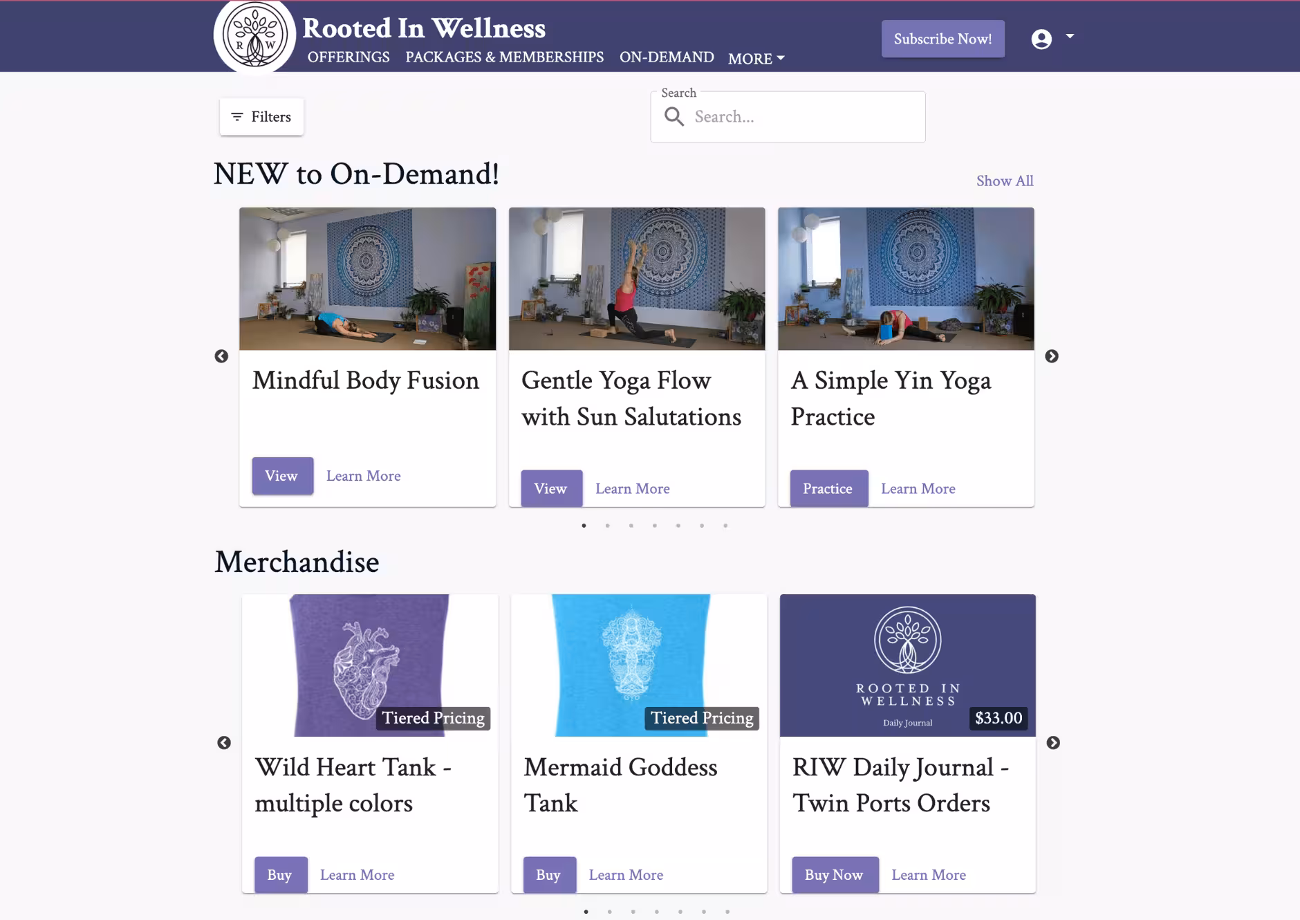 Picture of newsletter summary web page. Shows newsletters sent, delivered, opened.