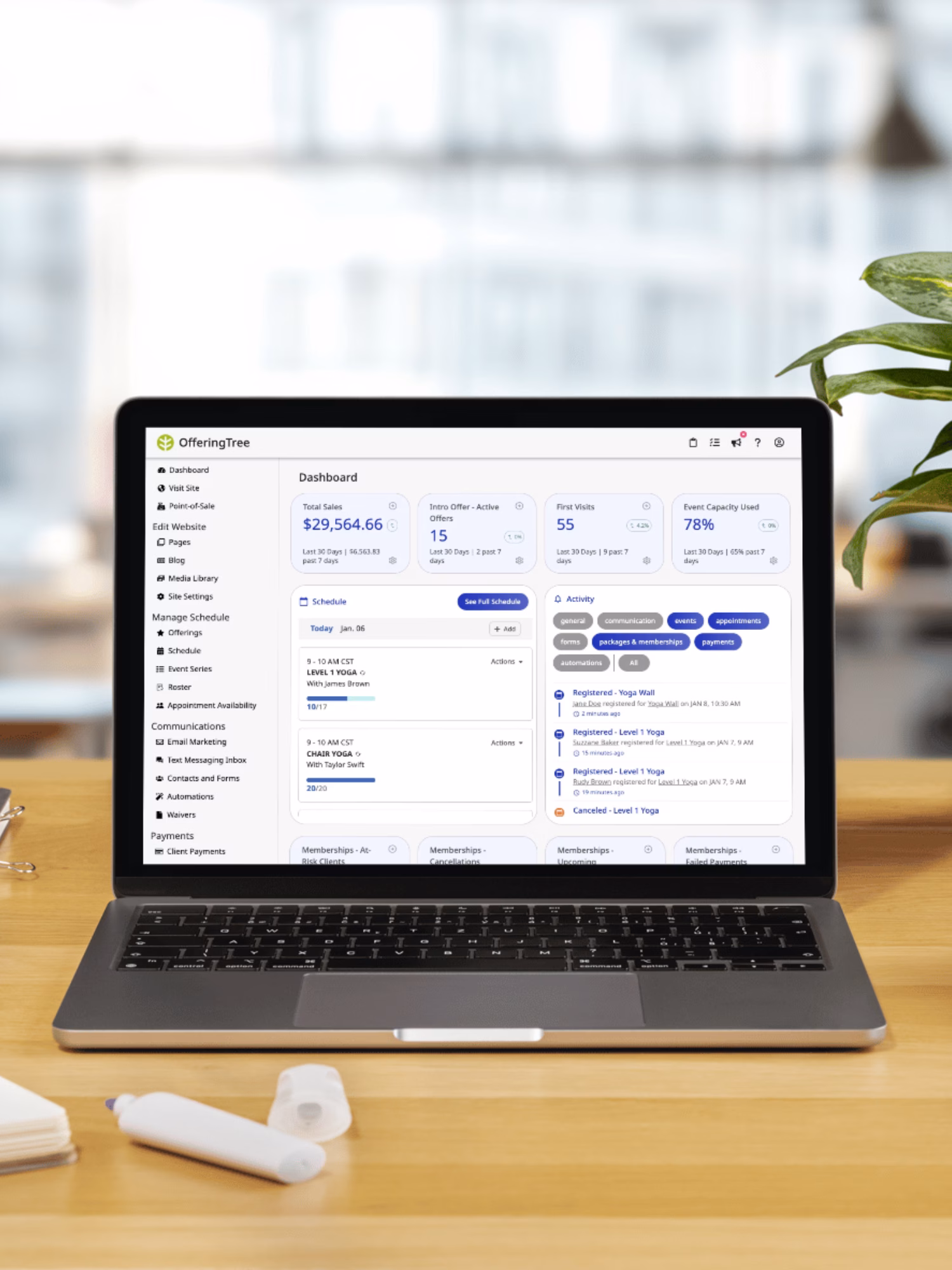OfferingTree Studio Software OfferingTree Studio Software